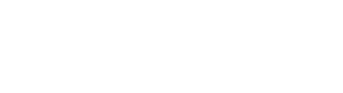 Logo_FireFlex_W-1